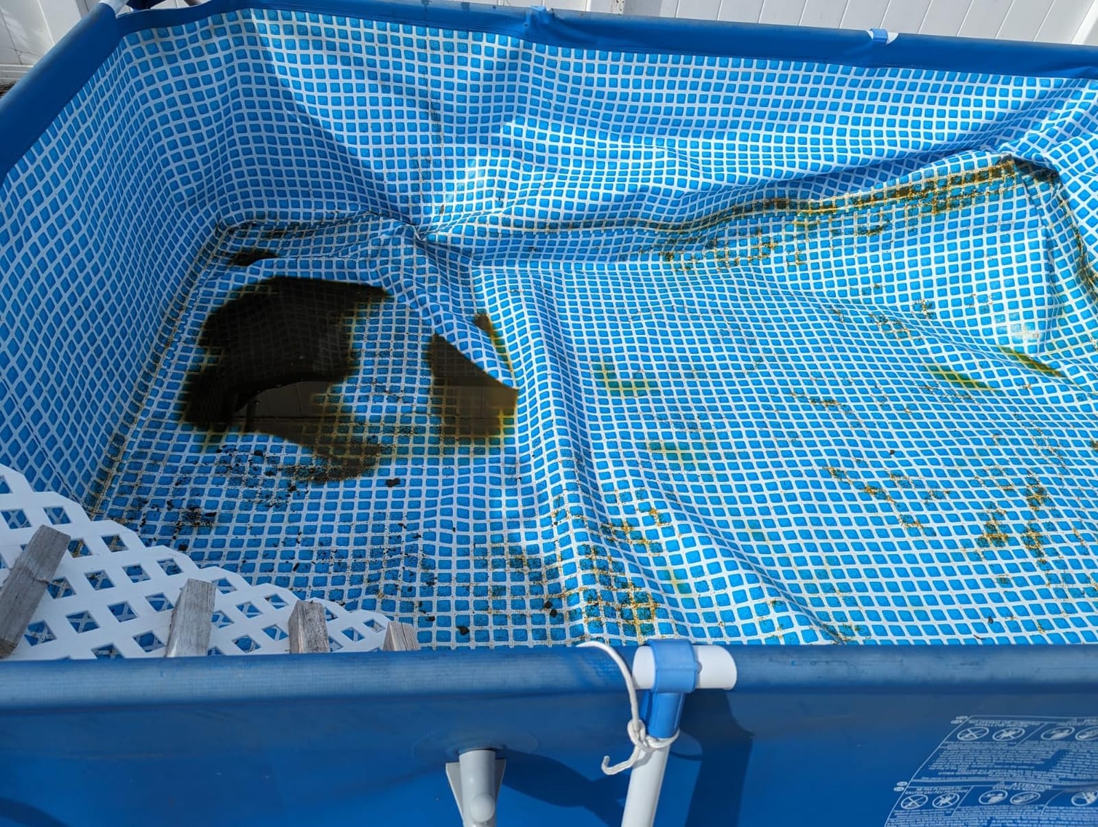 FREESEA Durable Small Pond Pump: 365+ days Continuous Operation customer photo 1