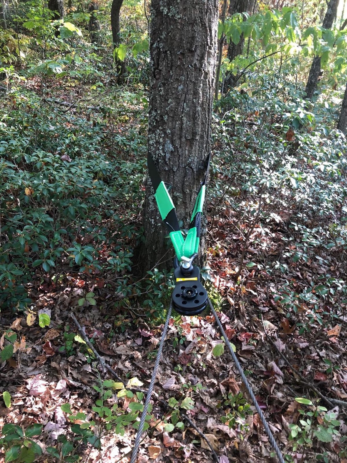 Rhino USA Tree Saver Tow Strap (3in x 8ft) - 31,518lb Winch Extension | 31,518lb Break Strength Extension Strap. For Truck, UTV, ATV. Compatible with Jeep, Ford, Toyota & Winch Lines. Black customer photo 2