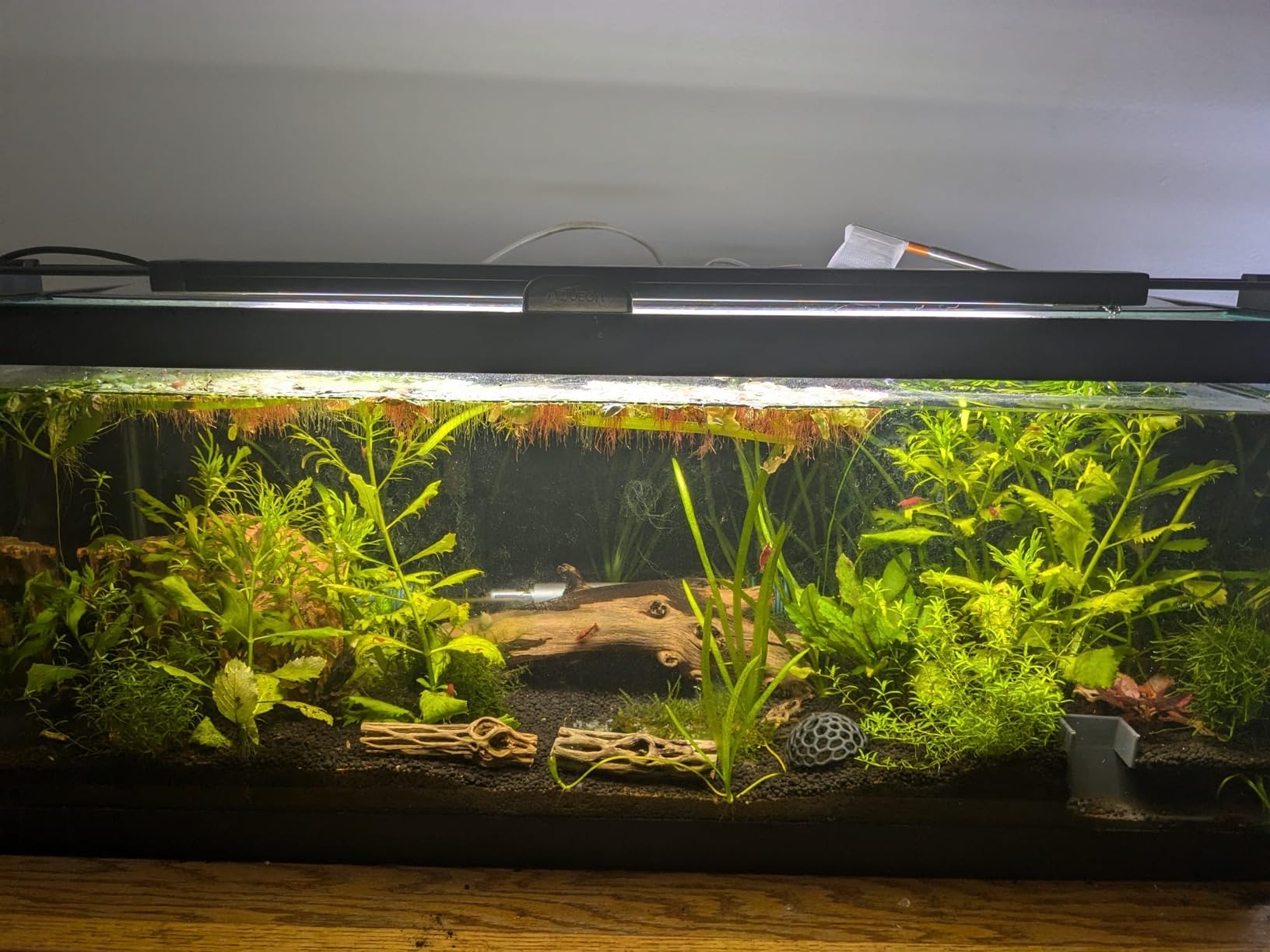 Fluval Plant 3.0 LED Planted Aquarium Lighting, 46 Watts, 36-46 Inches customer photo 1