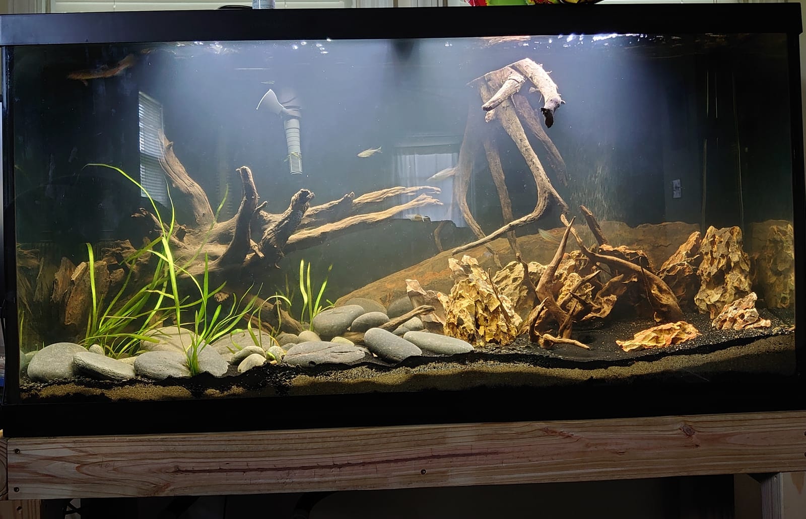 Fluval Plant 3.0 LED Planted Aquarium Lighting, 46 Watts, 36-46 Inches customer photo 2