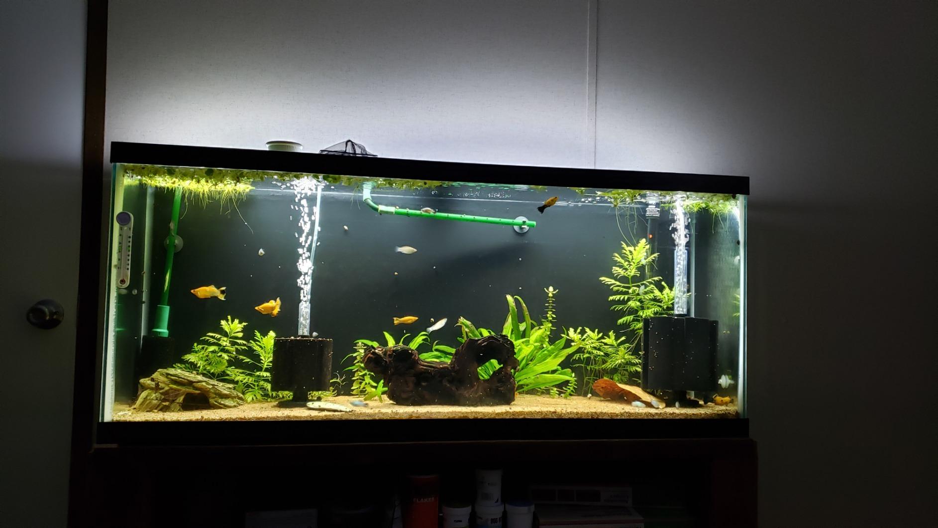 Fluval Aquasky 2.0 Bluetooth LED Aquarium Light, 18W, 24–36