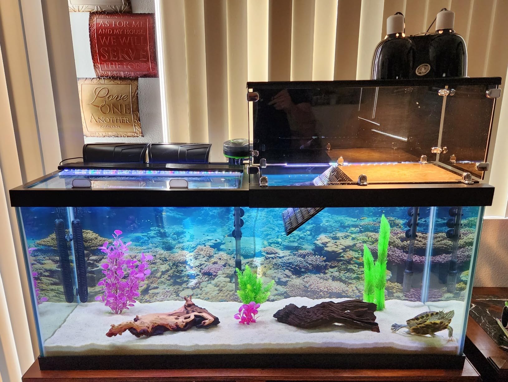 Aqueon QuietFlow Canister Aquarium Filter, 55-100 Gallons (ECOM) customer photo 2