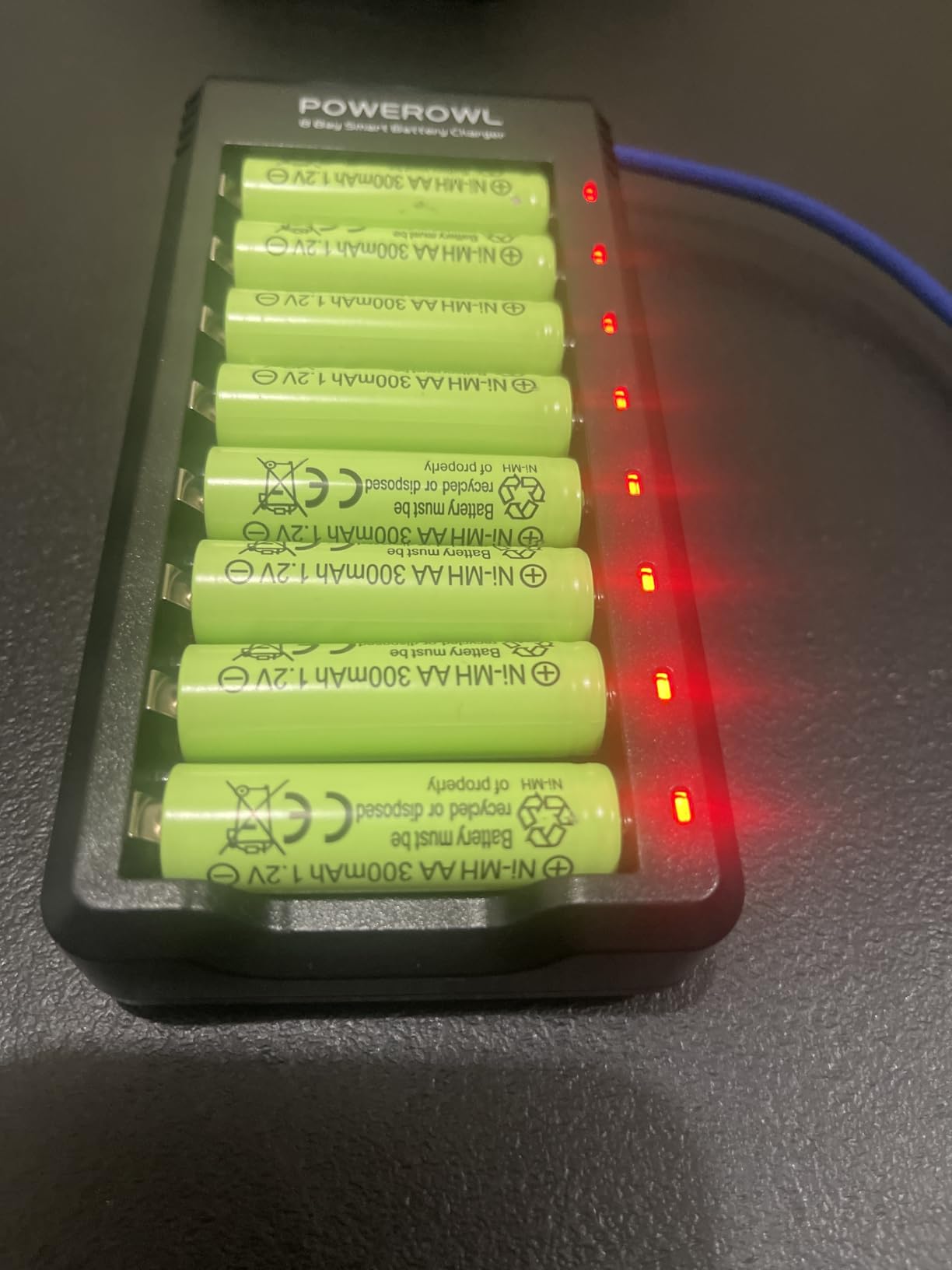 POWEROWL 8 Bay AA AAA Battery Charger, USB High-Speed Charging, Independent Slot, for Ni-MH Rechargeable Batteries, No Adapter customer photo 1