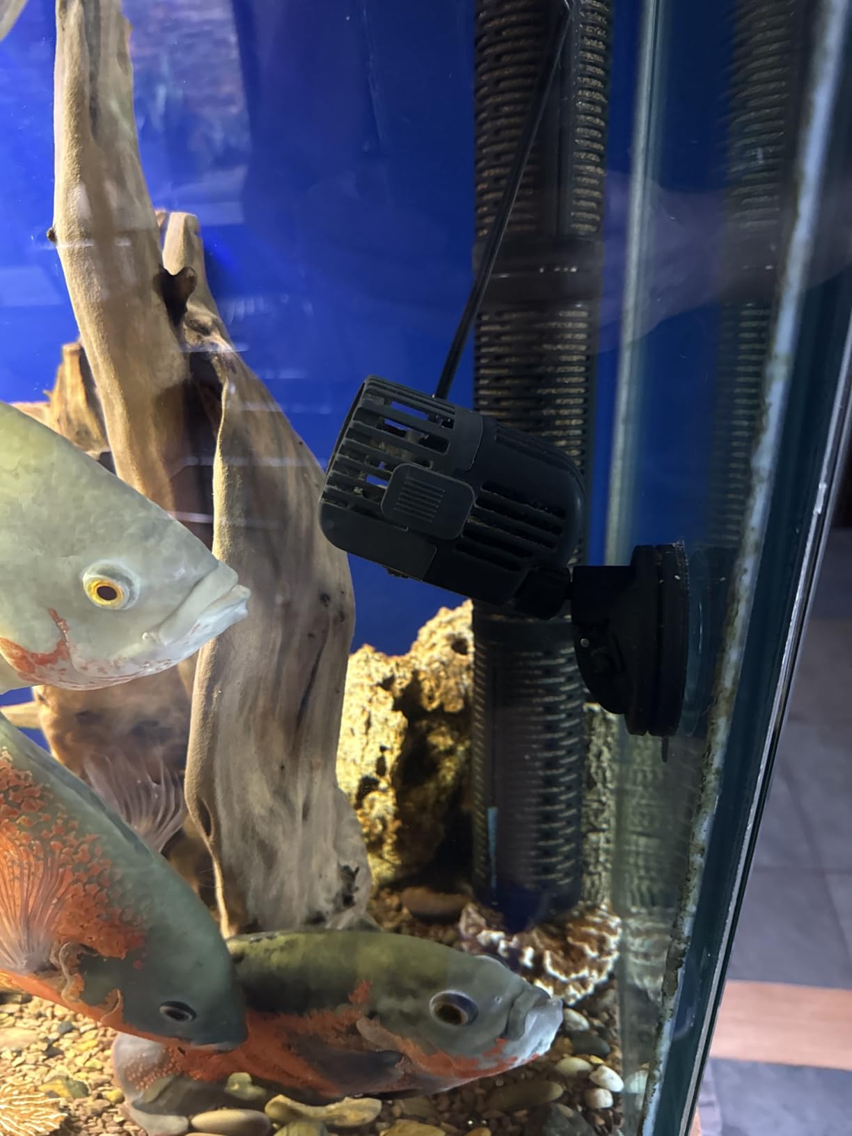Aqueon Circulation Pump 1250 GPH, Aquarium Water Pump customer photo 1