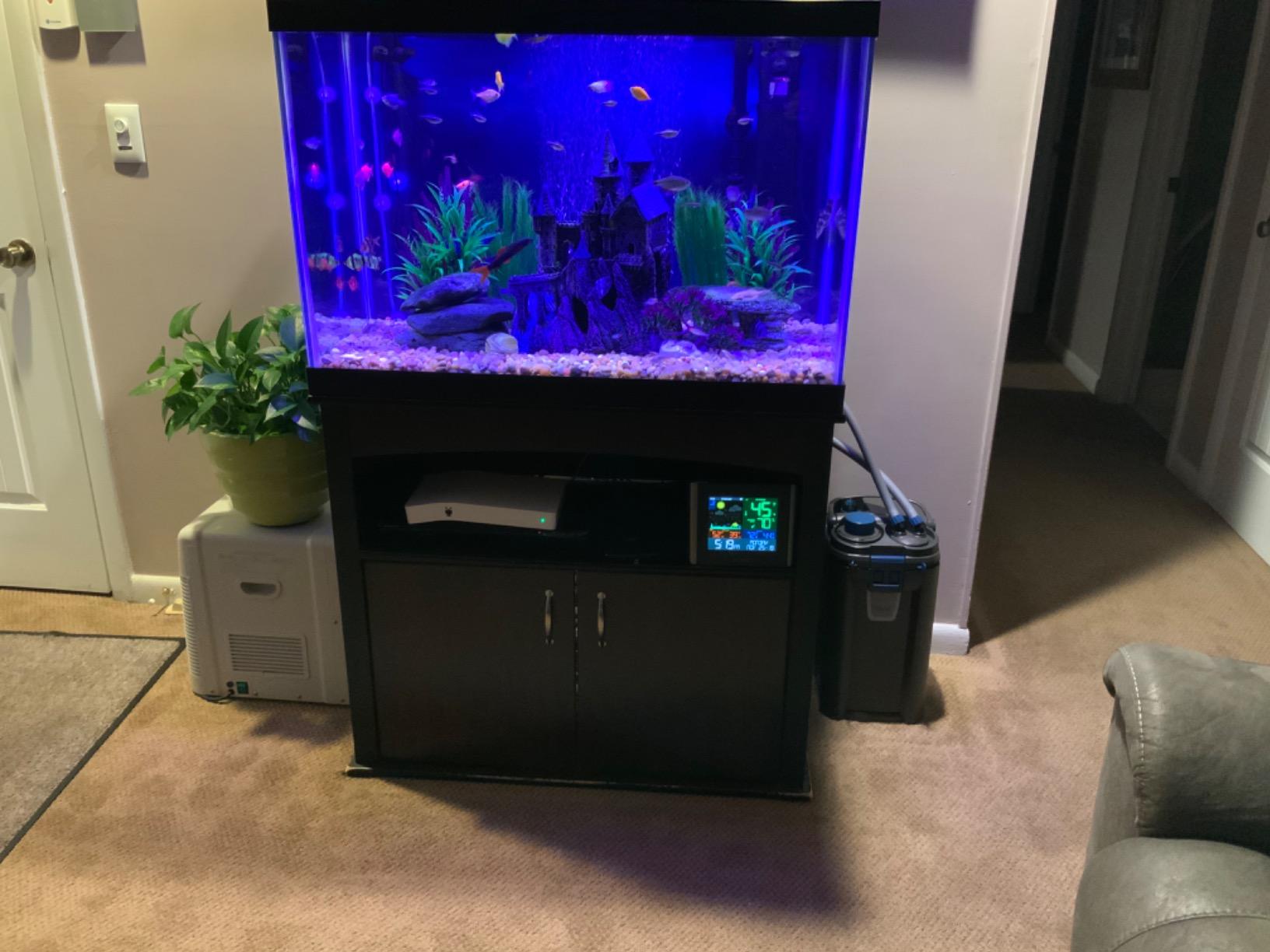 OASE BioMaster Thermo External Filter with Built-in Heater for Aquariums up to 160 gallons, Multi-stage Filtration, Easy Maintenance Prefilter, Quiet Canister Filter, German Engineering customer photo 1