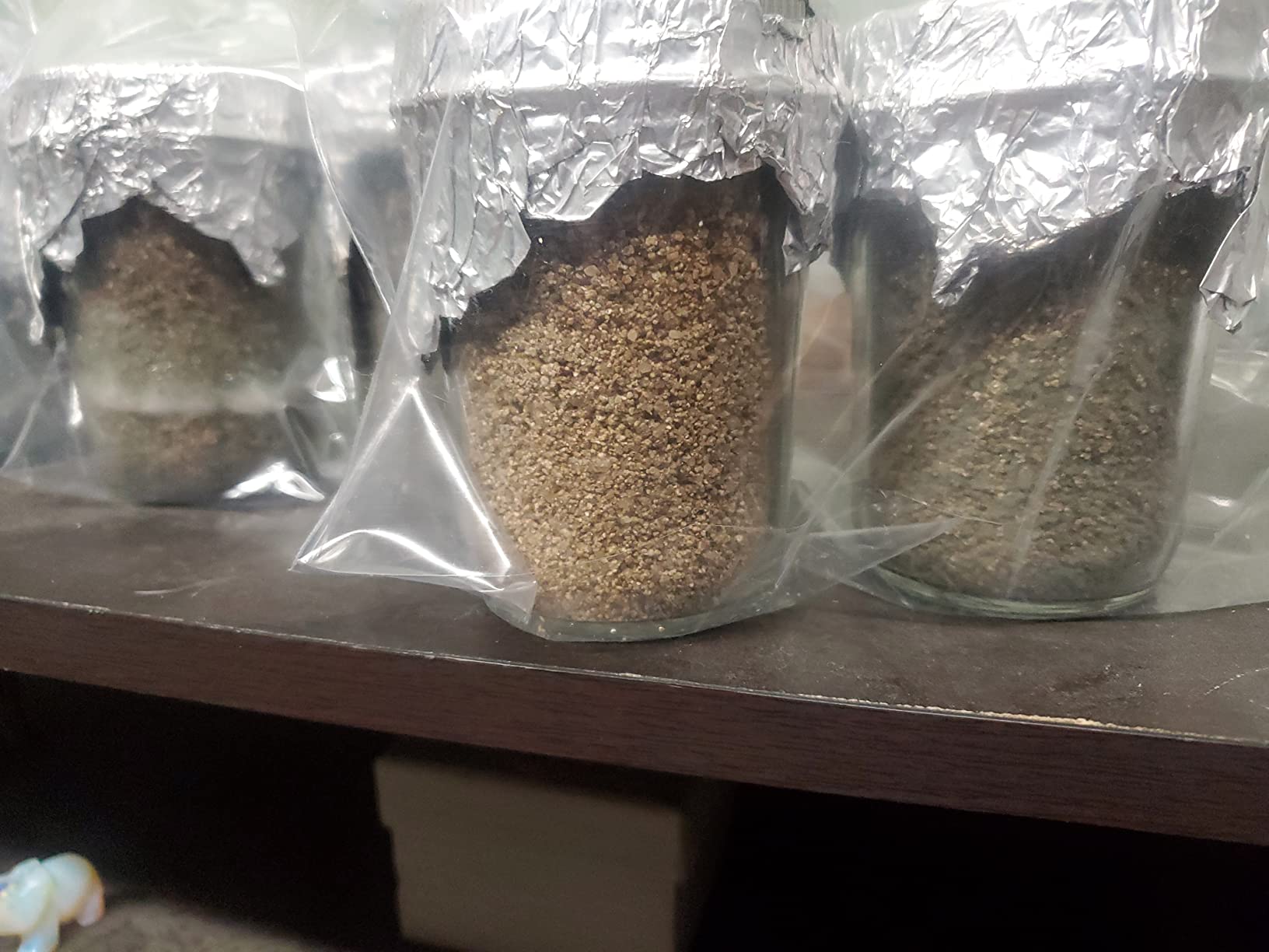 12 Jars Mushroom Growing Kit Ultimate Fast Automated Cultivation Equipment customer photo 1
