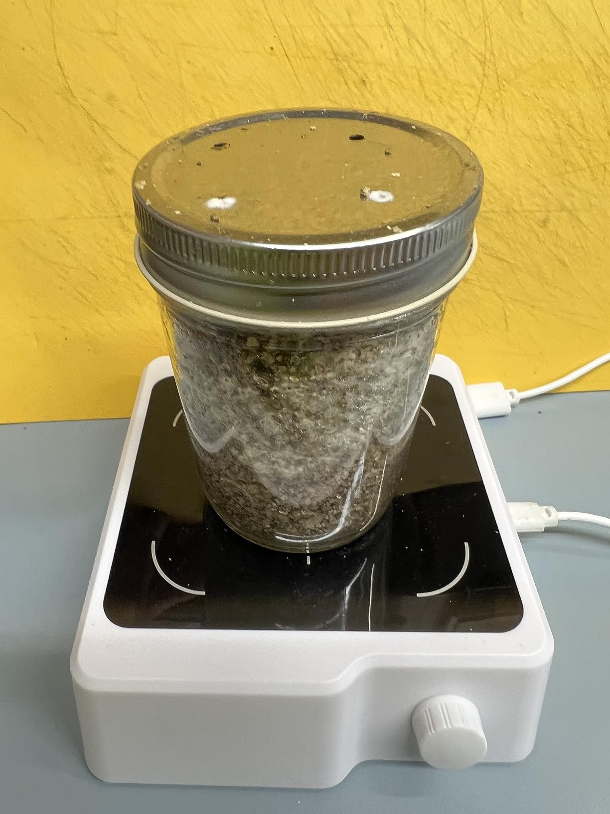 12 Jars Mushroom Growing Kit Ultimate Fast Automated Cultivation Equipment customer photo 2