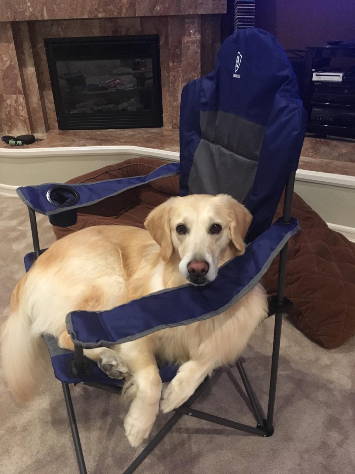 EVER ADVANCED High Back Folding Camping Chair Oversized and Fully Padded, Portable Quad Camp Lawn Chair Up to 300 lbs, with Cup Holder Armrest Carrying Bag customer photo 1