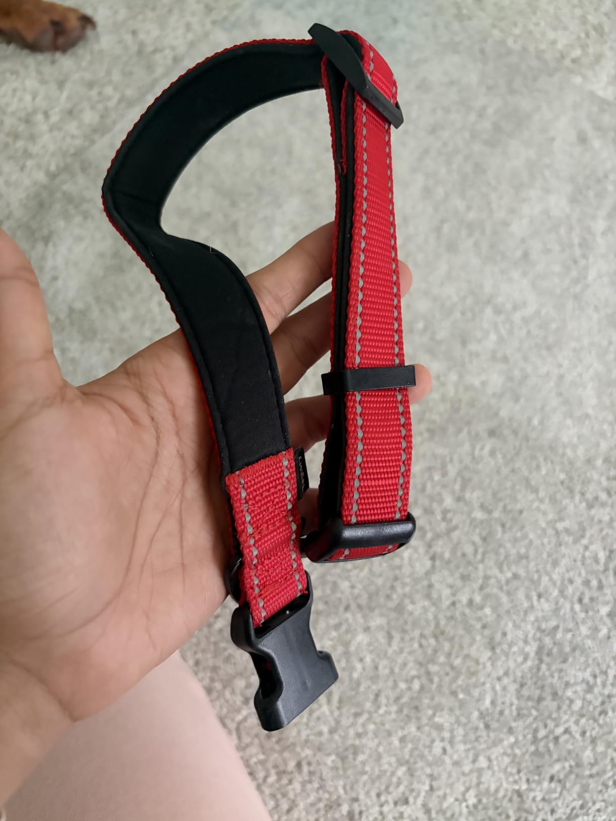Taglory Reflective Large Dog Collar, Comfortable for Safe Night Walks, Red | Soft Neck Cushioning, Adjustable 16-24 in, Sturdy Webbing Withstands Strong Pullers, Zinc Alloy D-Ring customer photo 1