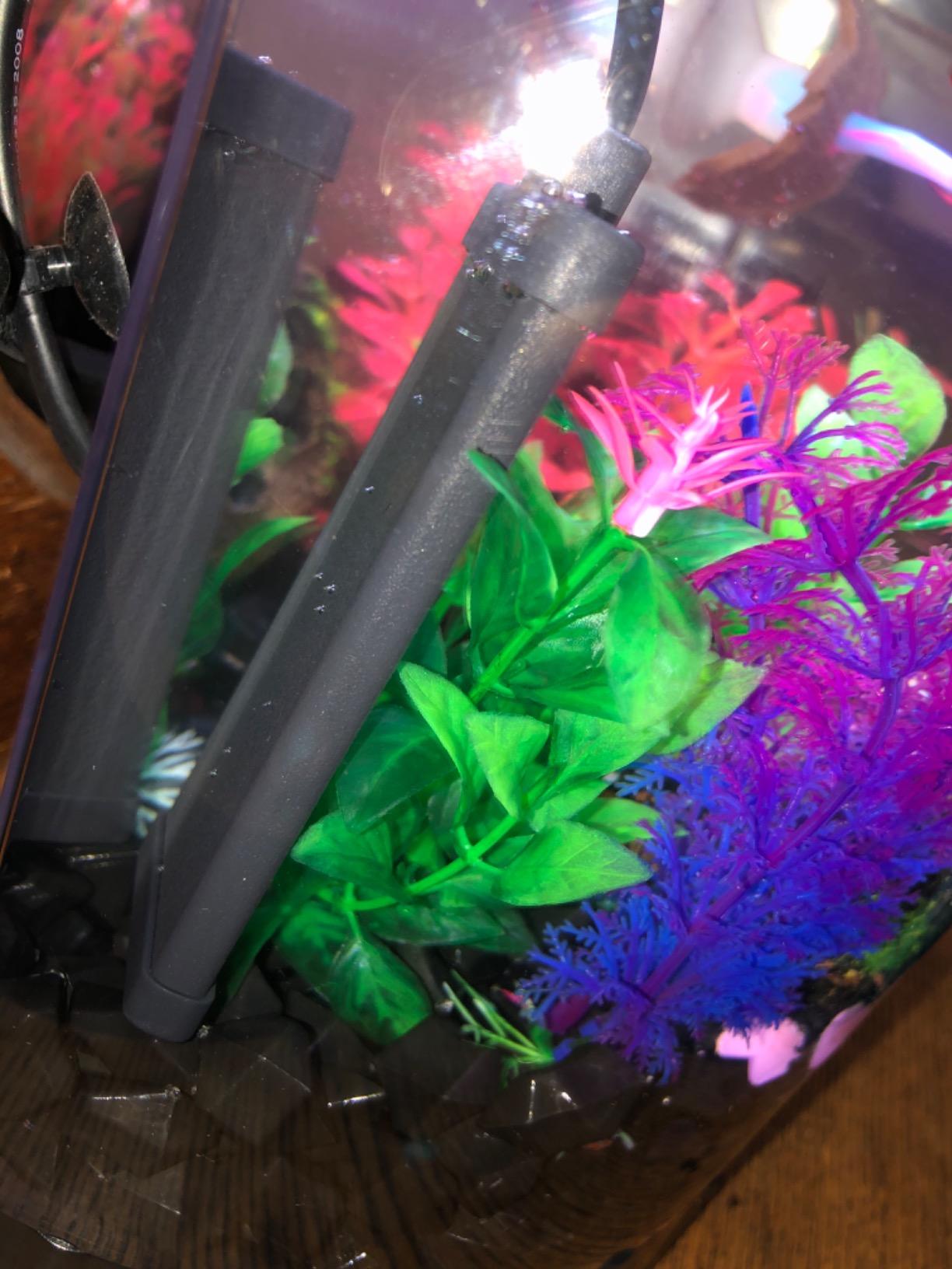 DaToo 10 Watt Small Aquarium Heater Mini Betta Flat Fish Tank Heater for 1 Gallon 1.5 Gallon customer photo 1