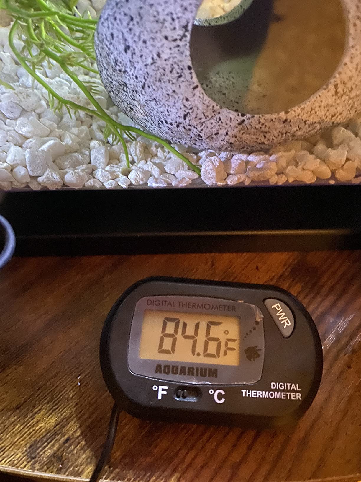 DaToo 10 Watt Small Aquarium Heater Mini Betta Flat Fish Tank Heater for 1 Gallon 1.5 Gallon customer photo 2