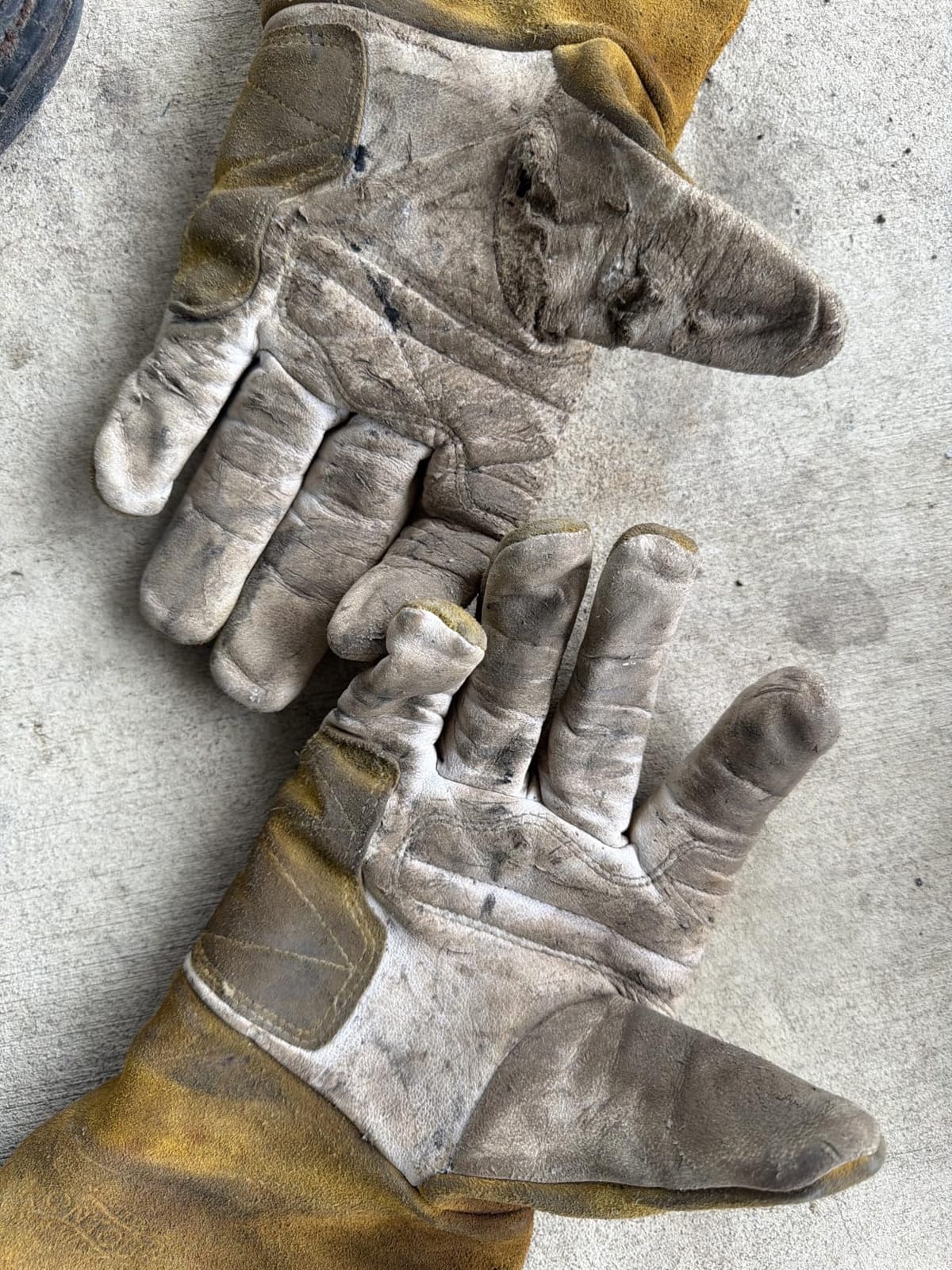Caiman Premium Goat Grain TIG/Multi-Task Welding Gloves, Split Cowhide Back, 4-Inch Extended Cuff, White/Gold, Large (1540-5) customer photo 2