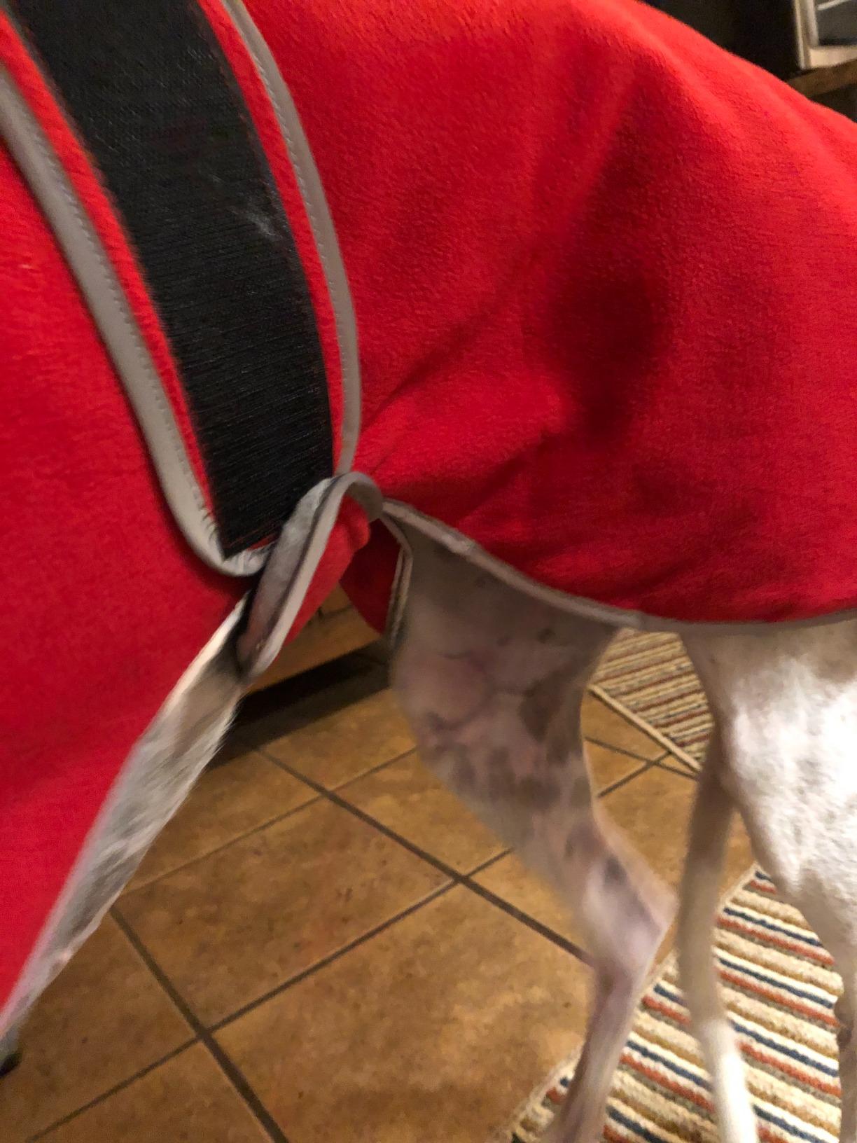 Geyecete Greyhound Cosy Fleece Jumper, Dog Winter Coat with Warm Fleece Lining, Outdoor Dog Apparel with Adjustable Bands for Medium, Large Dog -Red-L customer photo 1