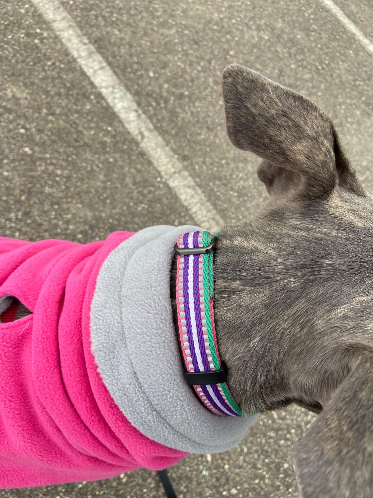 Geyecete Greyhound Cosy Fleece Jumper, Dog Winter Coat with Warm Fleece Lining, Outdoor Dog Apparel with Adjustable Bands for Medium, Large Dog -Red-L customer photo 2