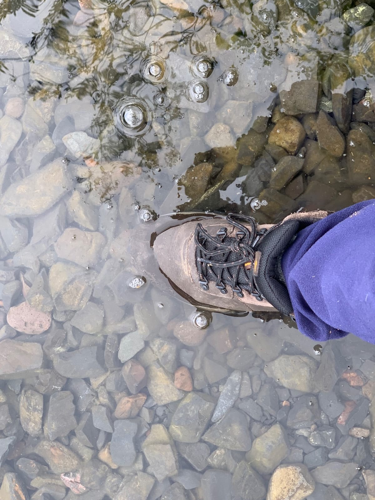 Columbia Men's Newton Ridge Plus II Waterproof Hiking Boot customer photo 1