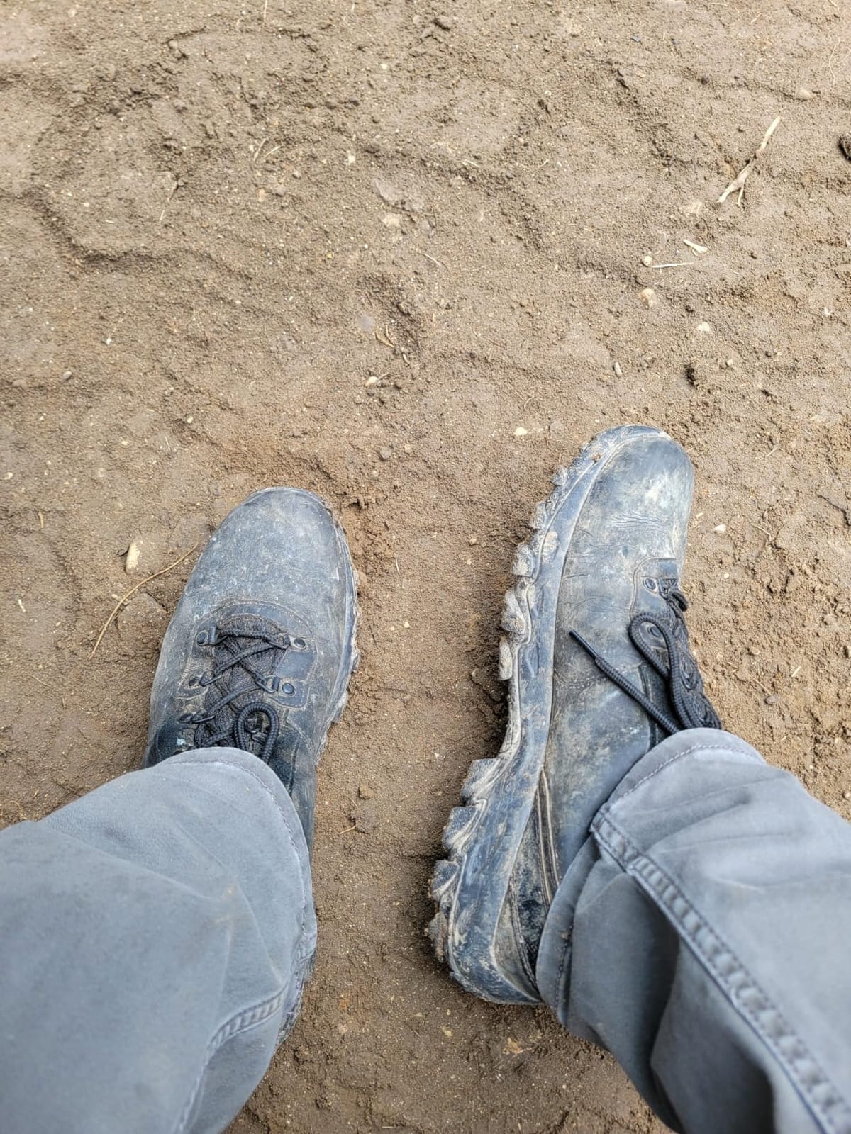 Columbia Men's Newton Ridge Plus II Waterproof Hiking Boot customer photo 2