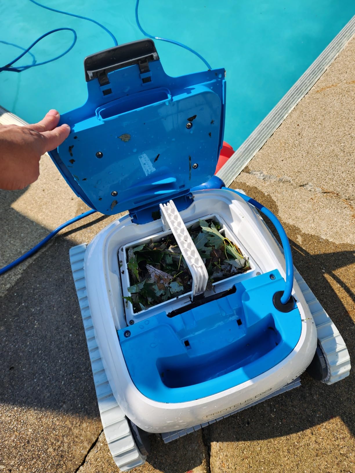 Dolphin Proteus DX3 Automatic Robotic Pool Vacuum Cleaner, Wall Climbing, Active Scrubber Brush, Ideal for In-ground Pools up to 33 FT in Length customer photo 2