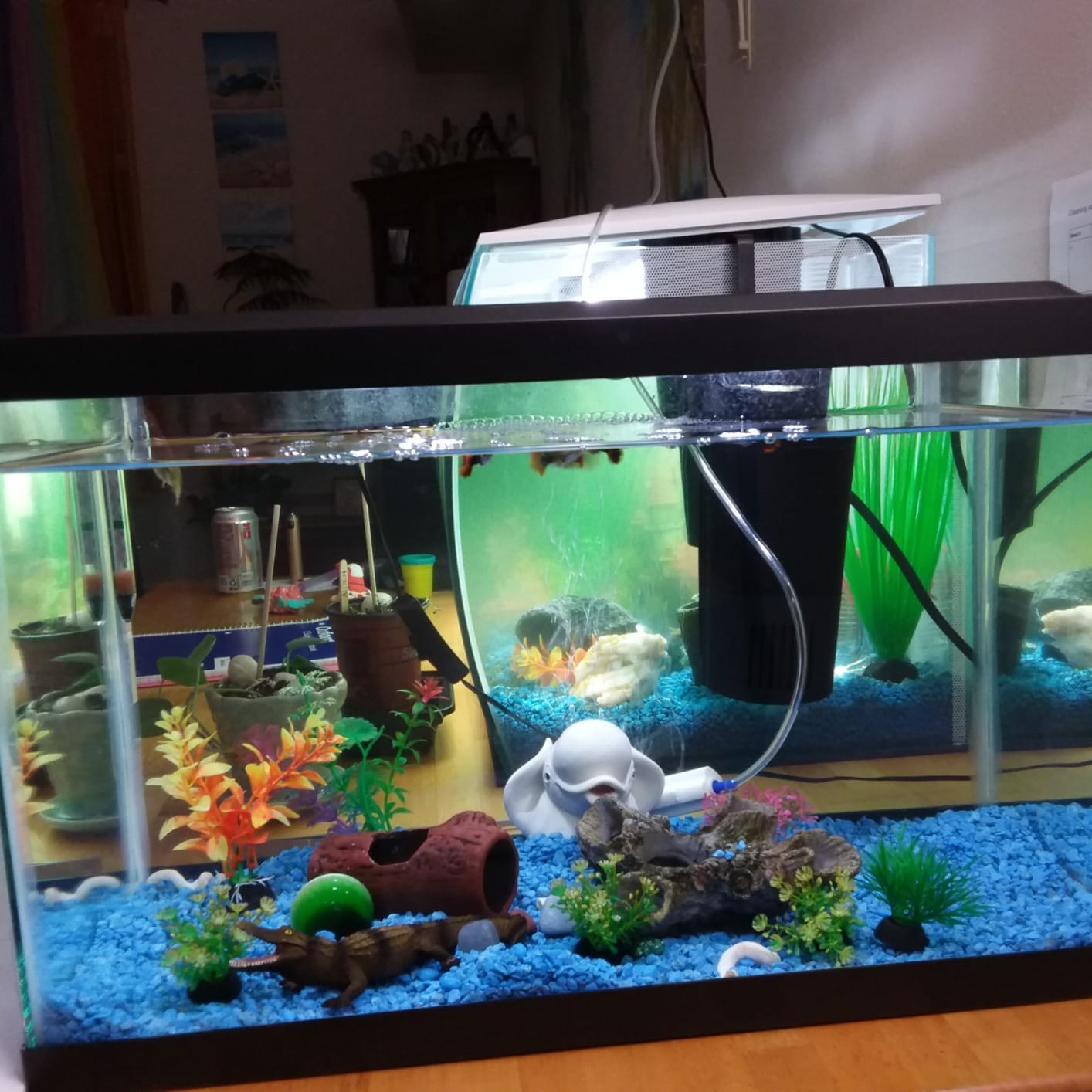 Fluval Flex 32.5 Marine Salt Water Aquarium Kit - Fish Tank for Fish, Coral & More - Comes with LED Lights, Filtration System & More - 32.5