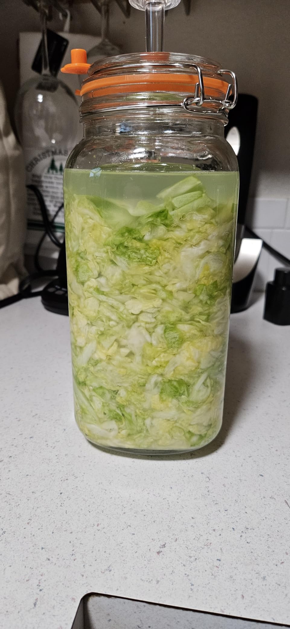 JILLMO 1.5L Wide Mouth Glass Fermentation Jar with Airlock & Weight, 2 Pack | Fermenting Kit for Making Sauerkraut, Kimchi, Pickles and Vegetables customer photo 2