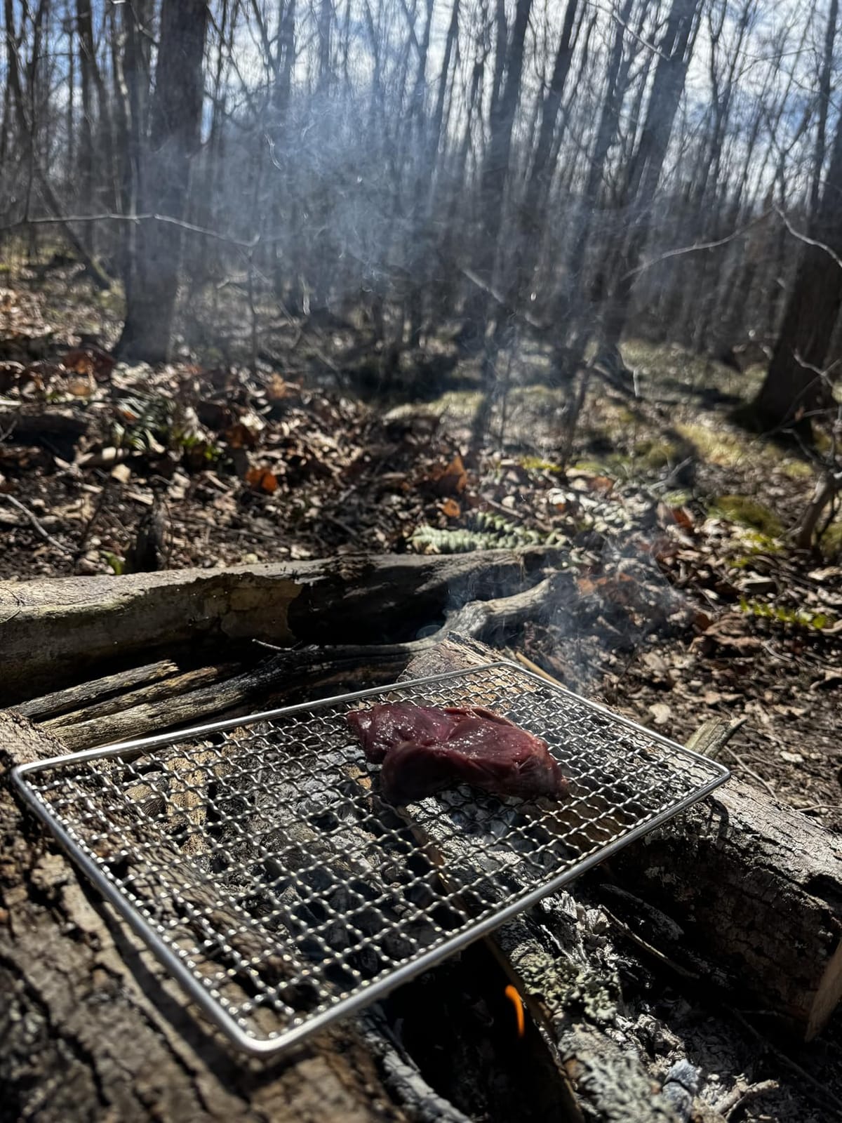 Portable Bushcraft Stainless BBQ Large Cooking Grill Grate & Burlap Hemp Drawstring Bag. Camping, Campfires, Backpacking, Hunting & Fishing. (Large Grill & Bag ONLY) customer photo 1