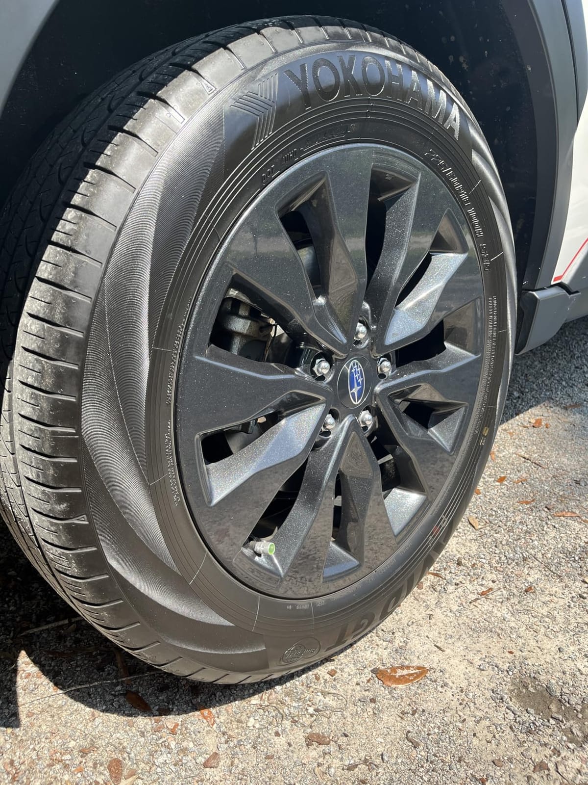 Adam's Polishes Graphene Tire Dressing - Deep Black Finish W/Graphene Non Greasy Car Detailing | Use W/Tire Applicator After Tire Cleaner & Wheel Cleaner | Ceramic Coating Like Tire Protection (16oz) customer photo 2