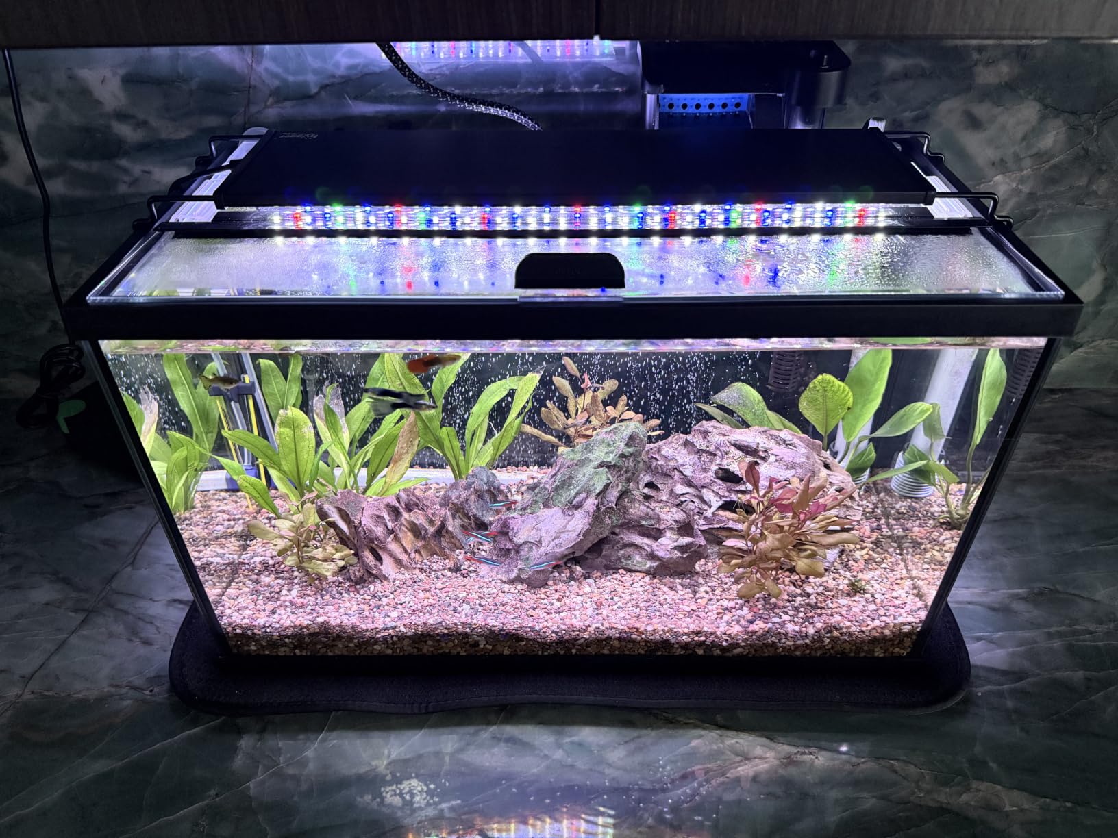 hygger Advanced LED Aquarium Light with Timer, 24/7 Lighting Cycle & DIY Mode, Full Spectrum Fish Tank Light for 18-24 in Freshwater Planted Tank customer photo 1