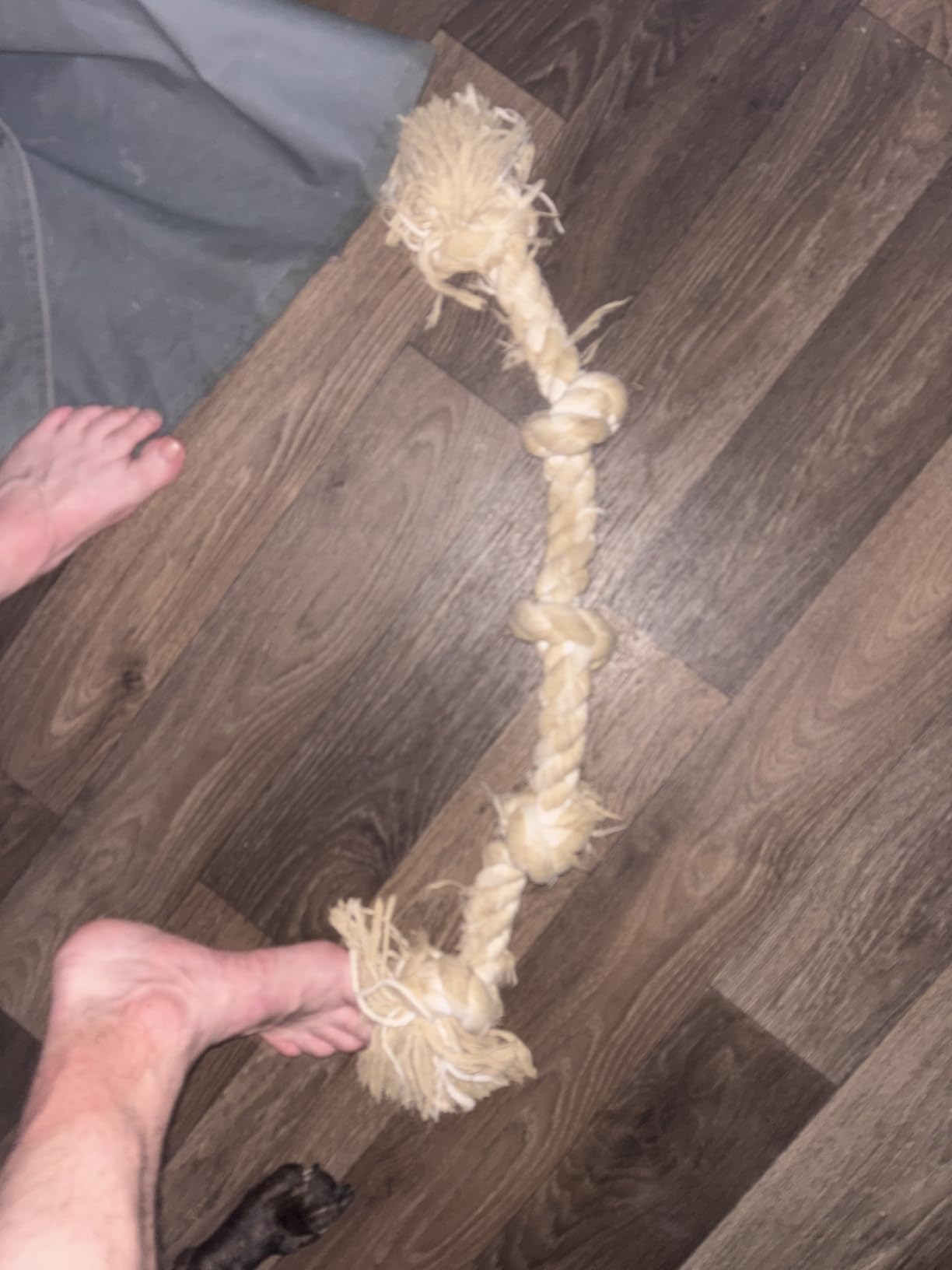 Fida Dog Rope Toys for Aggressive Chewers, Chew Toys for Large Medium Dogs | Natural Cotton, Heavy Duty Pull Rope for Tug of War and Interactive Play, 3 Feet 5 Knots Indestructible, Teeth Cleaning customer photo 1