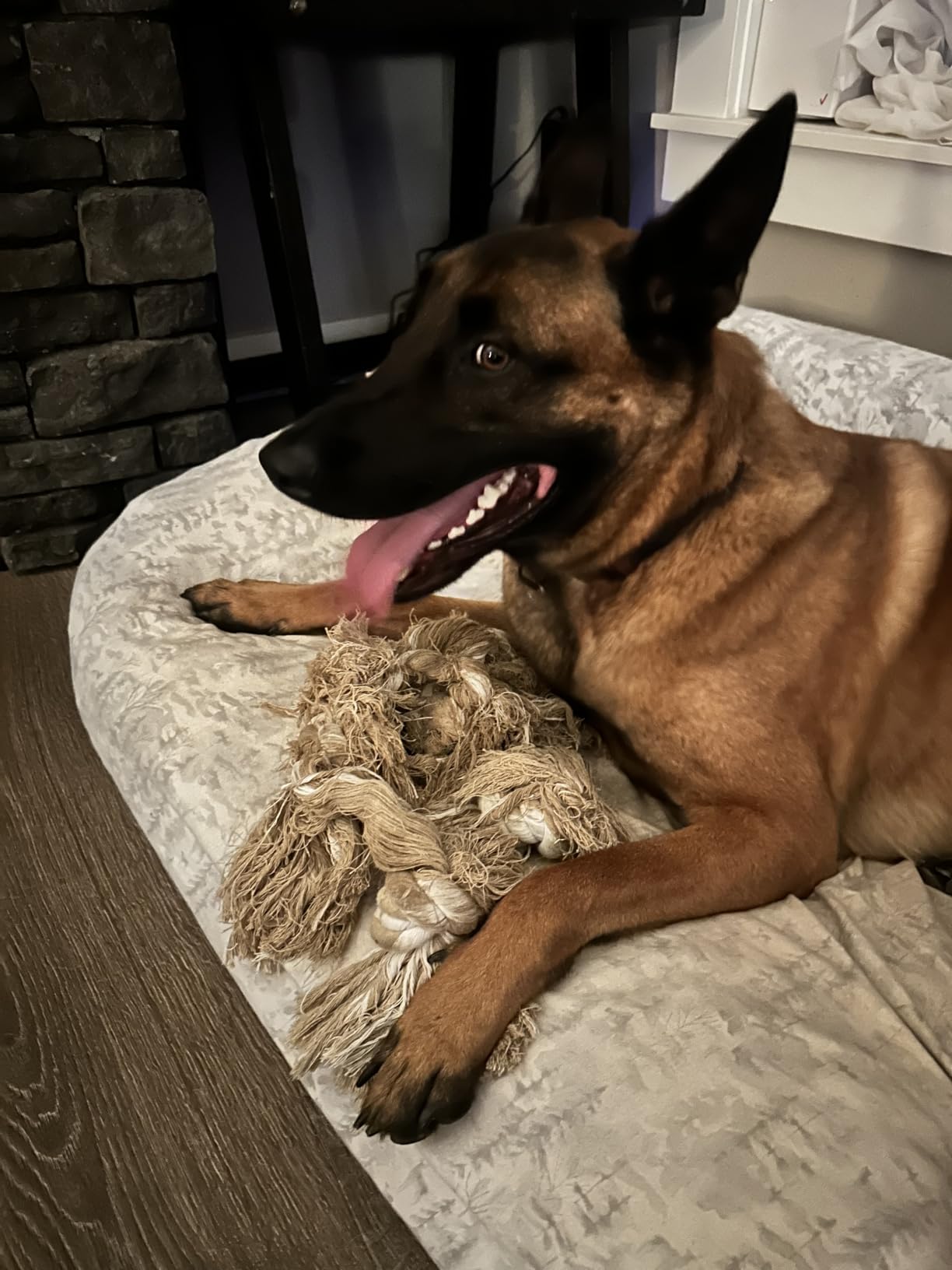 Fida Dog Rope Toys for Aggressive Chewers, Chew Toys for Large Medium Dogs | Natural Cotton, Heavy Duty Pull Rope for Tug of War and Interactive Play, 3 Feet 5 Knots Indestructible, Teeth Cleaning customer photo 2