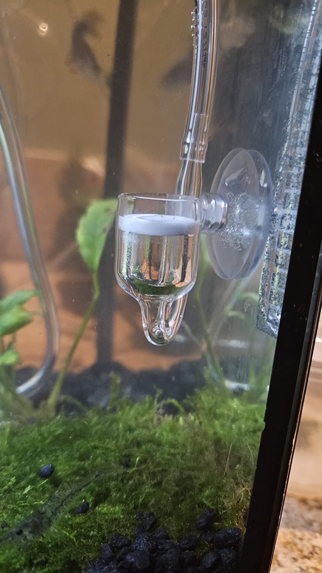 Aquarium DIY CO2 Generator System Kit, G200 customer photo 1