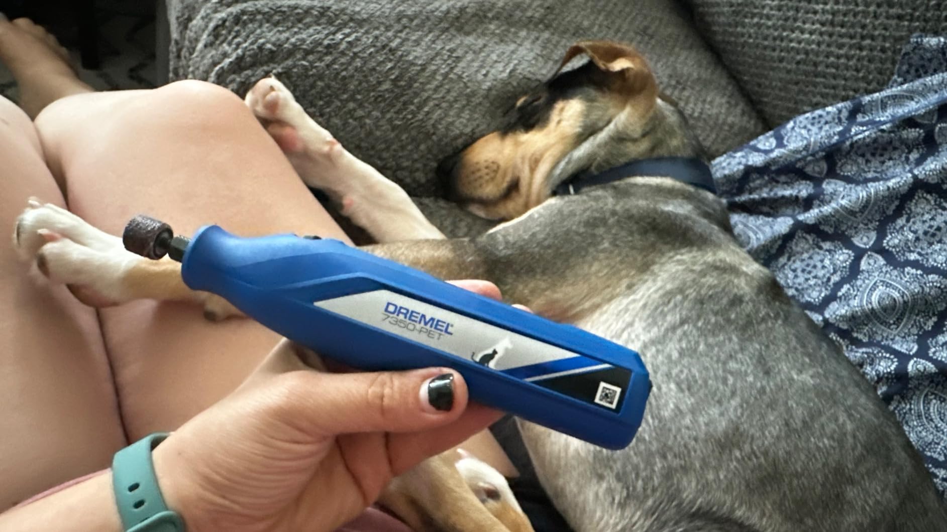 Dremel 7350-PET Dog Nail Grinder, Pet Grooming Kit for Dogs & Cats | Calm Quiet Nail Grinder for Dogs and Small Animals, Easy-To-Use, Lightweight Cordless Design, Safe Pet Nail Trimmer customer photo 1