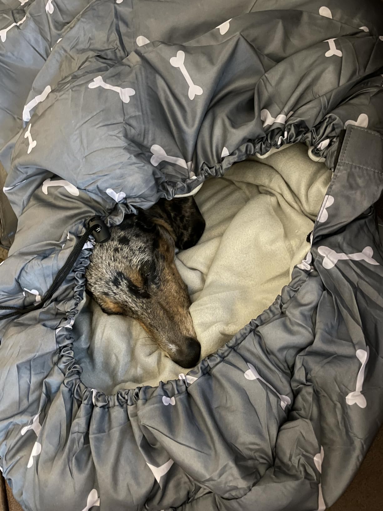 Waterproof Dog Sleeping Bag, Warm Insulated Packable Pet Bed Mat with Anti-Slip Bottom & Storage Bag, Tear-Resistant Portable Dog Bed for Indoor Car Travel Camping Hiking Backpacking (Bone, L) customer photo 1