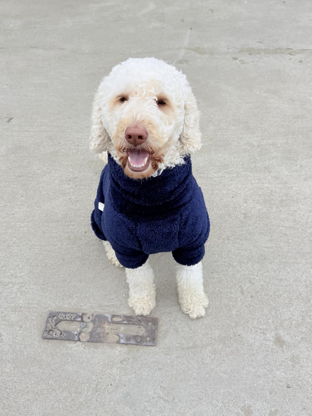 Esobo Fashion Winter Dog Warm Coat Jacket Four-Legged Neck Warm Pet Sweaters for Small Medium Large Dogs Orange customer photo 1