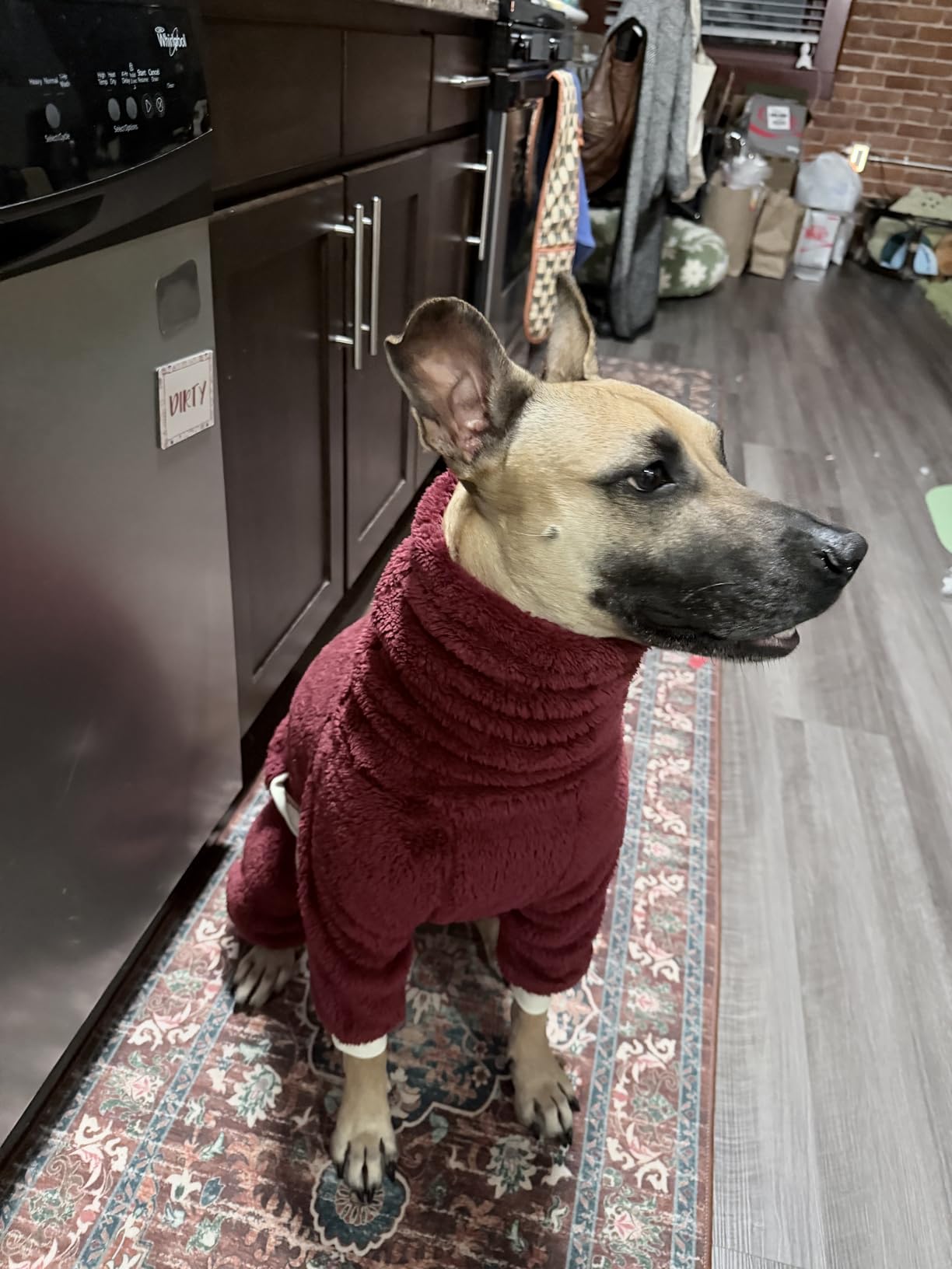 Esobo Fashion Winter Dog Warm Coat Jacket Four-Legged Neck Warm Pet Sweaters for Small Medium Large Dogs Orange customer photo 2