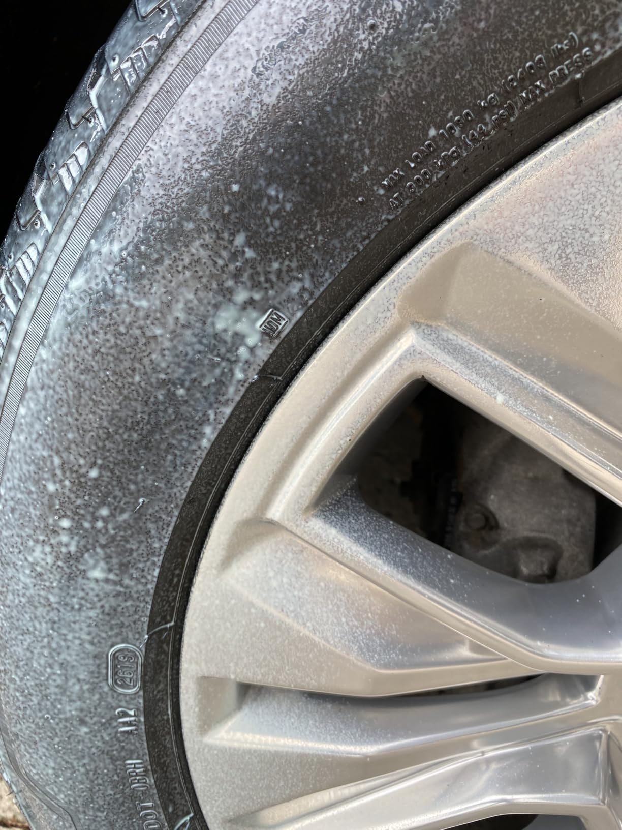 ExoForma Wet Tire Dressing Spray - Extremely High Shine Tire Dressing for That Wet Look - No Sling, Non-Greasy Silicone Formula with UV Protection - Easy to Apply, Minimal Cure Time - 16 fl oz customer photo 1