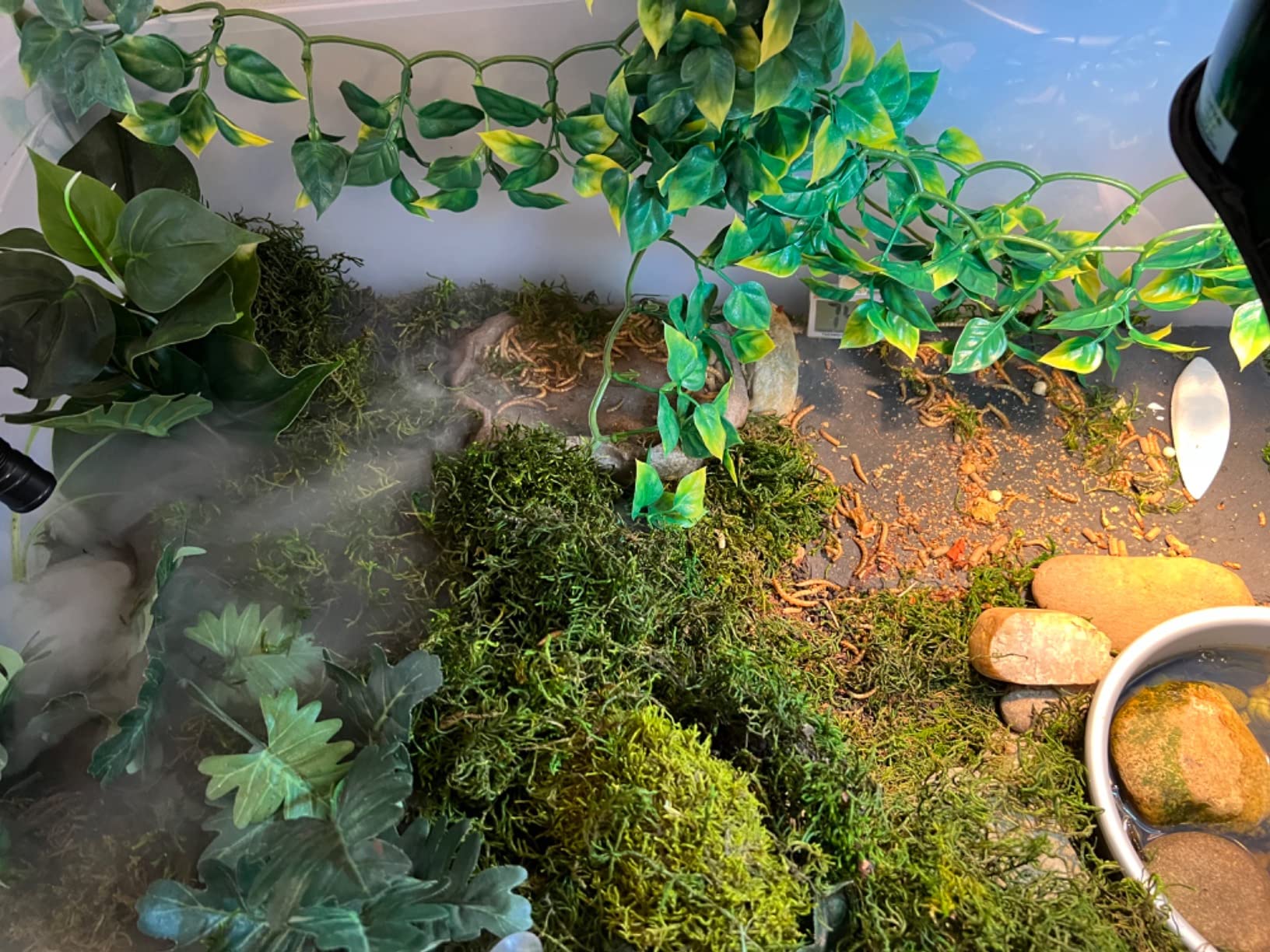 REPTI ZOO Reptile Automatic Fogger 2 IN 1 Digital Timing & Hygrostat Humidifier Remote Control 4L Large Tank Reptile Terrarium Fogger with Extended Hose for Bearded Dragon/Lizard/Gecko/Snake/Tortoise customer photo 1