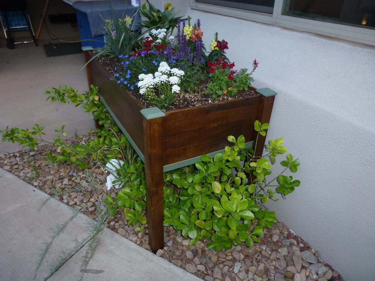 Raised Garden Bed with Legs, 48×24×30 Cedar Wood Elevated Planter Box | Large Growing Capacity, Premium Cedar Wood, Drainage Holes & Liner, Perfect for Outdoor Gardening, Ergonomic Gardening Height customer photo 2