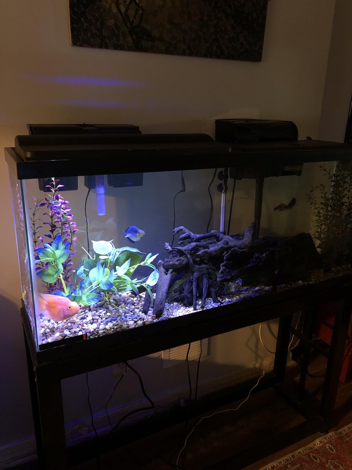 Tetra Complete 29 Gallon Fish Tank Kit for Freshwater & Saltwater Fish customer photo 2