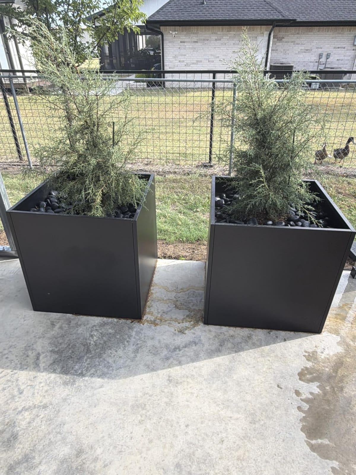 Corten Steel Planter Box 16 Inch, Square customer photo 2