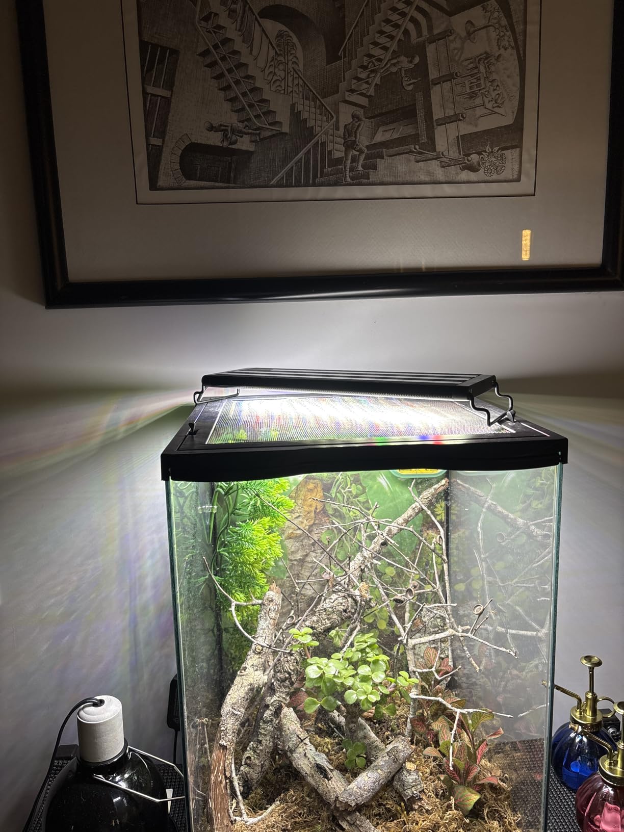 SEAOURA Led Aquarium Light for Plants-Full Spectrum Fish Tank Light 18-24'' customer photo 1