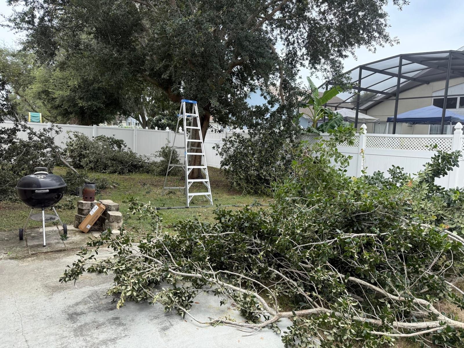 14FT Pole Saw for Tree Trimming 2-in-1 Hand Saw Steel Blade Extension Pole customer photo 1