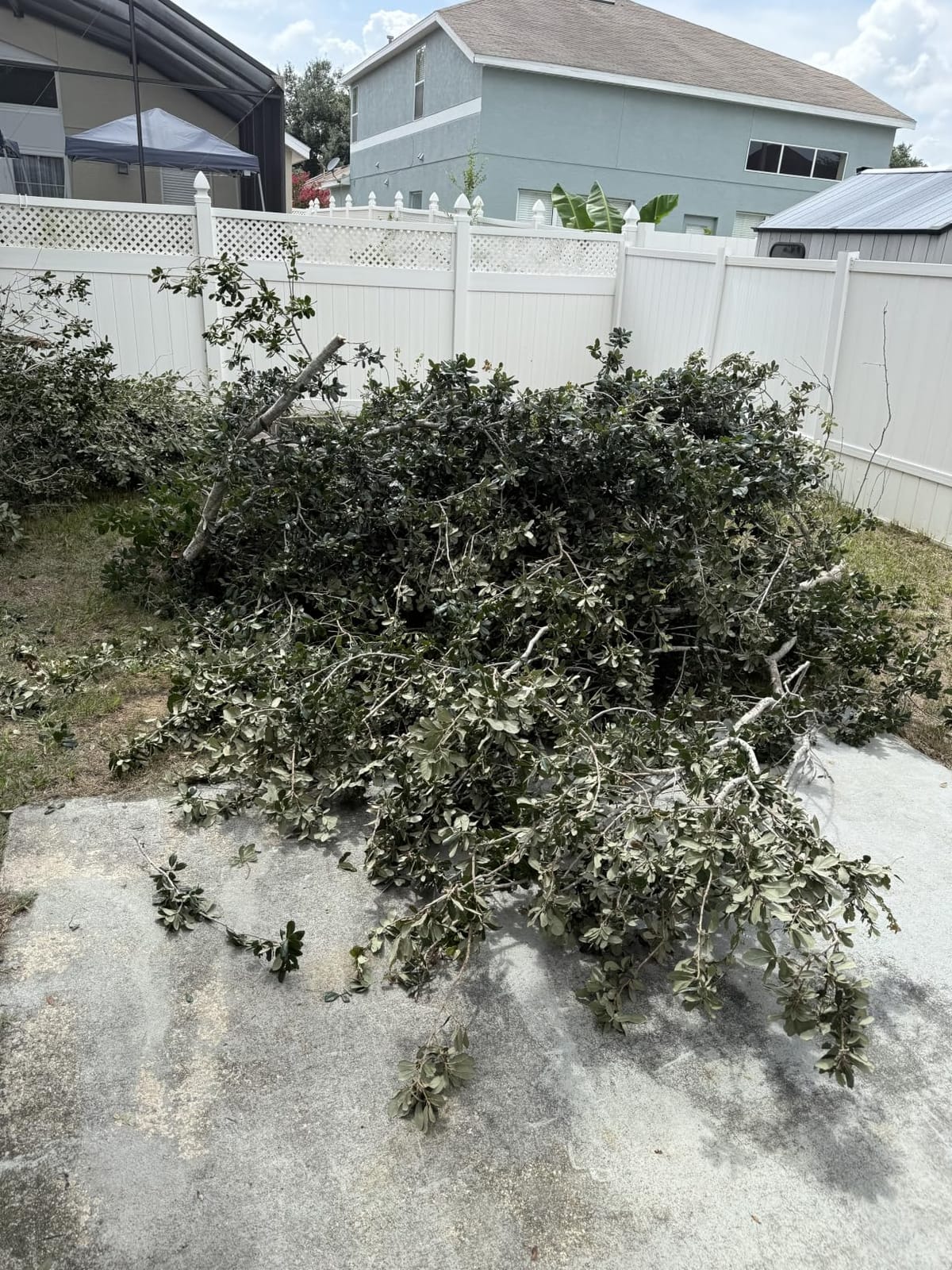 14FT Pole Saw for Tree Trimming 2-in-1 Hand Saw Steel Blade Extension Pole customer photo 2