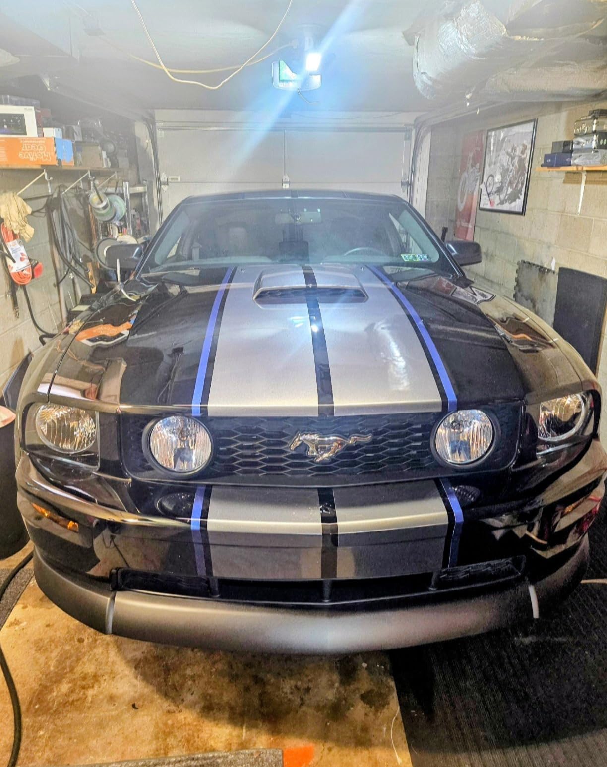 CERAKOTE® Rapid Ceramic Paint Sealant, Ceramic Coating for Cars, 14 oz customer photo 1