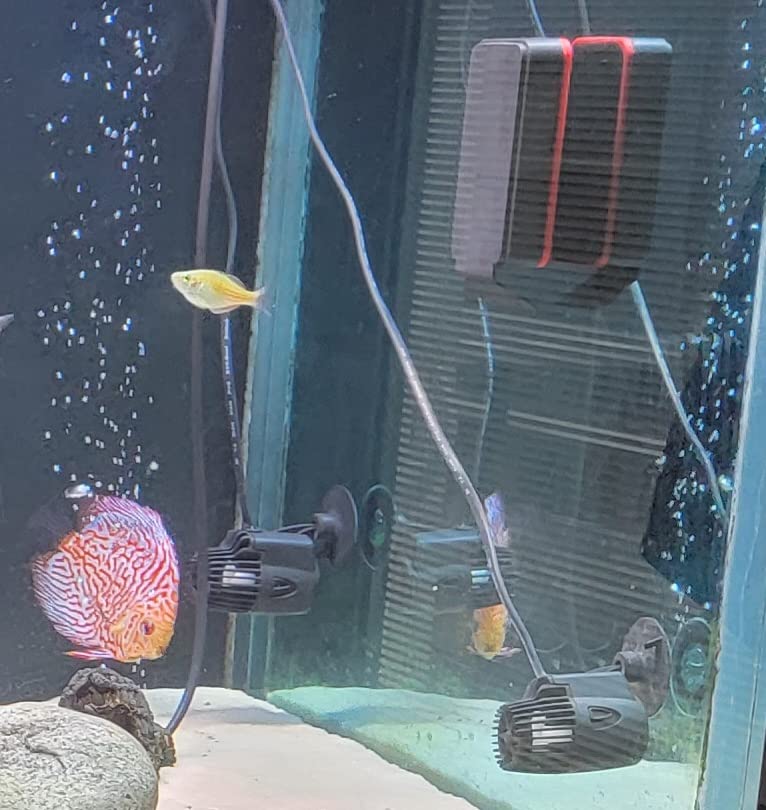 Zhengmy 4 Pcs 800 Gph Aquarium Circulation Pump with Magnetic Suction Base 360 Degree Rotating Wave Maker Submersible Aquarium Powerhead Wave Maker for 20-100 Gal Freshwater Saltwater Fish Tank customer photo 1