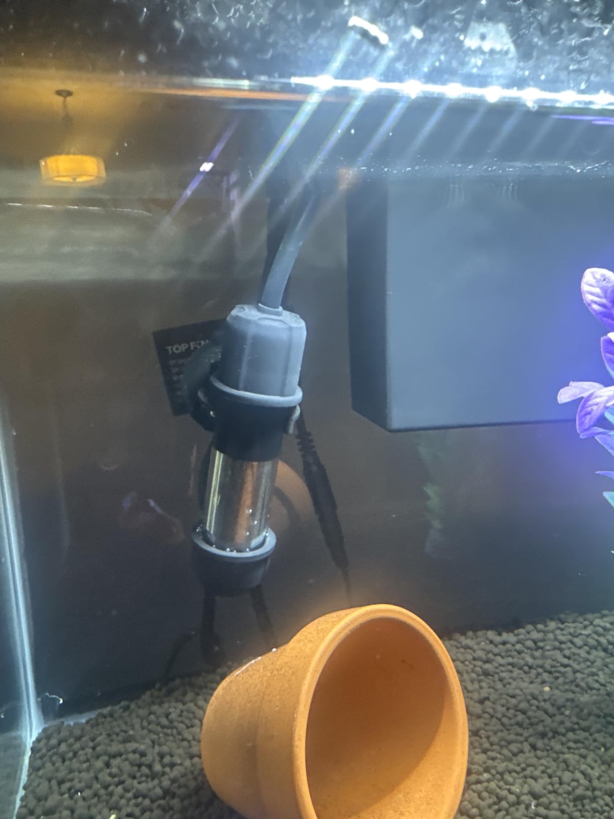 hygger Small Aquarium Betta Heater, Submersible Fish Tank Heater 10W/25W/50W/100W with LED Digital Display, Suitable for Marine Saltwater and Freshwater up to 5/10/16/26 Gallon customer photo 2