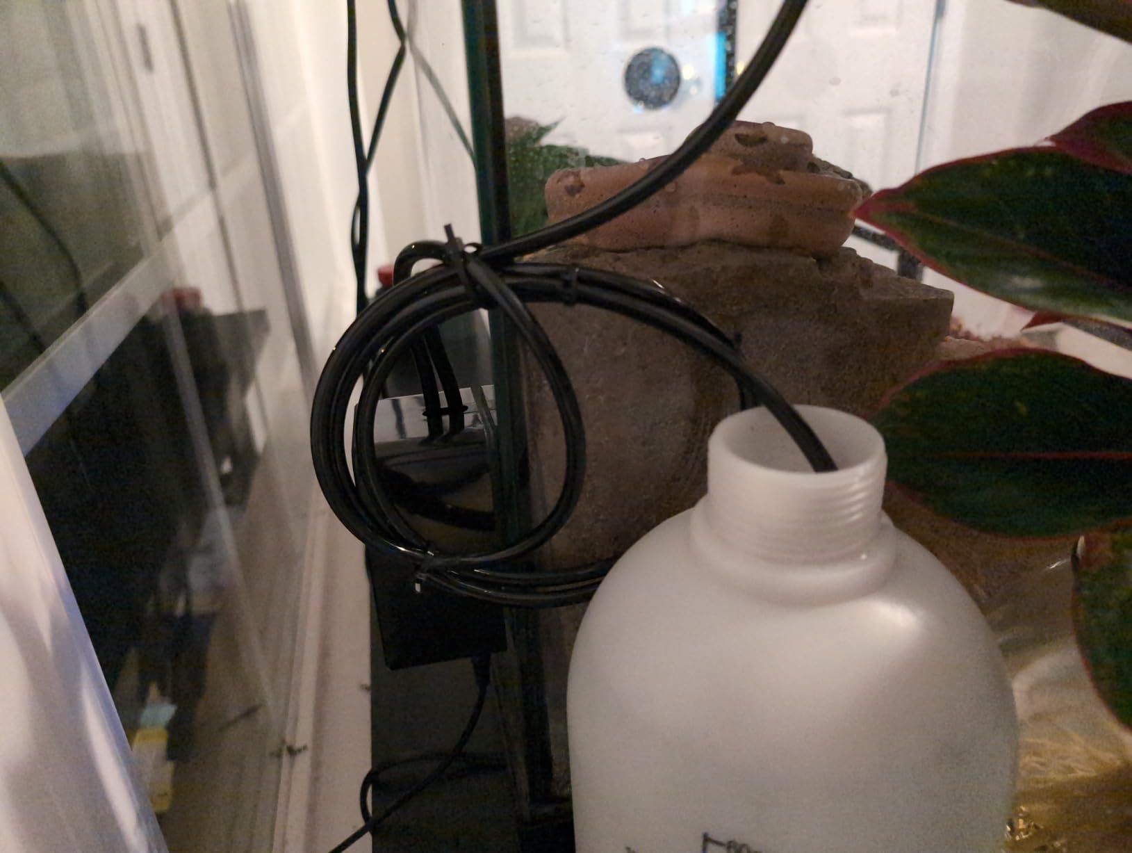 Reptile Mister Humidifier, Automatic Misting System for Chameleon or Plants customer photo 2