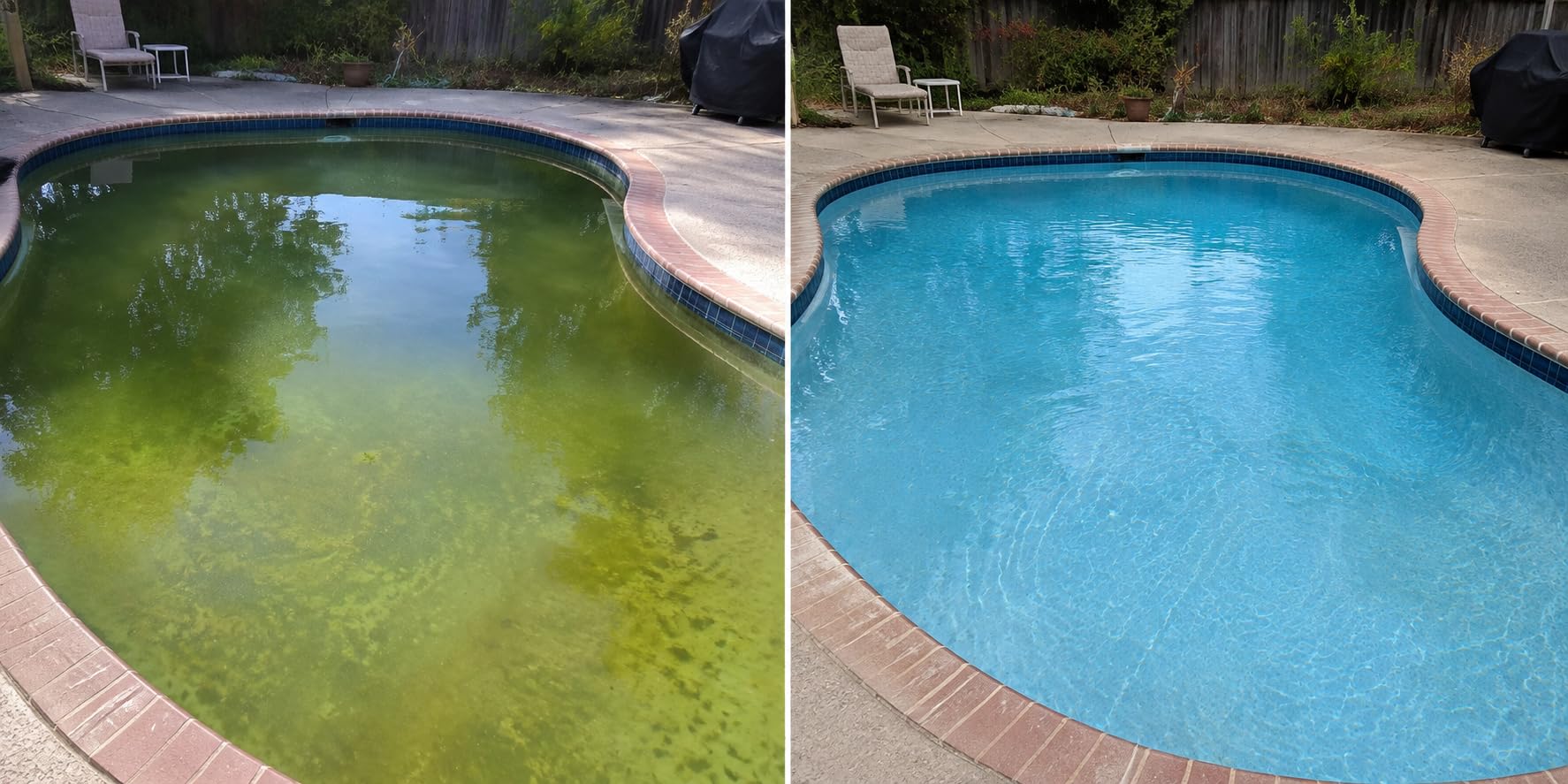 Clorox Pool&Spa Shock XTRABLUE Plus, Kills Bacteria & Algae in Swimming Pools, Swim-Ready in 15 Minutes, 12-Pack, Granular customer photo 2