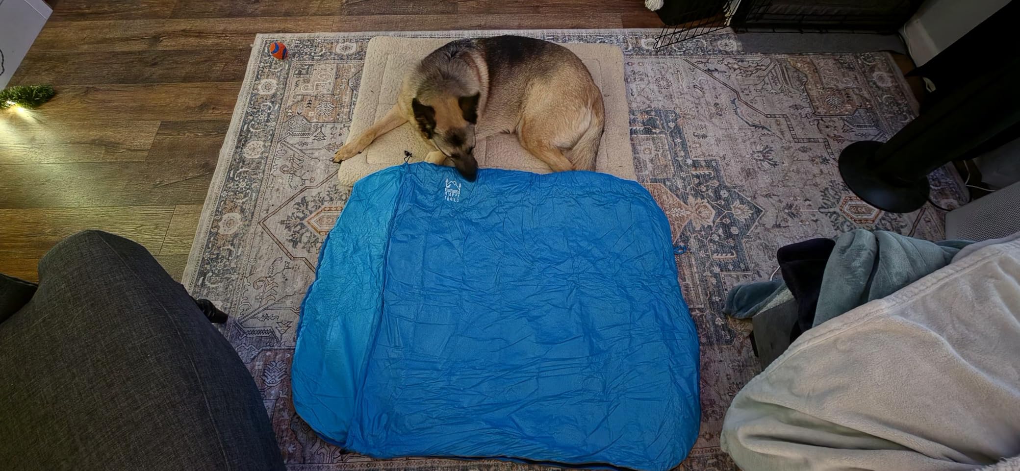 Glacial Blue Ultralight Dog Sleeping Bag with Packable Bed for Hiking, Camping and Outdoor Travel - Medium Size customer photo 2