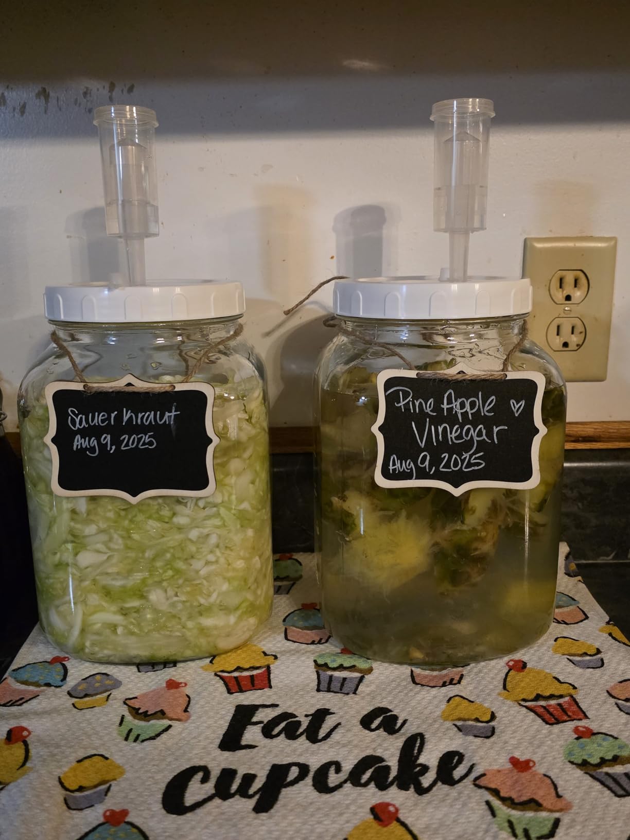 1 Gallon Large Fermentation Jars, 4.3