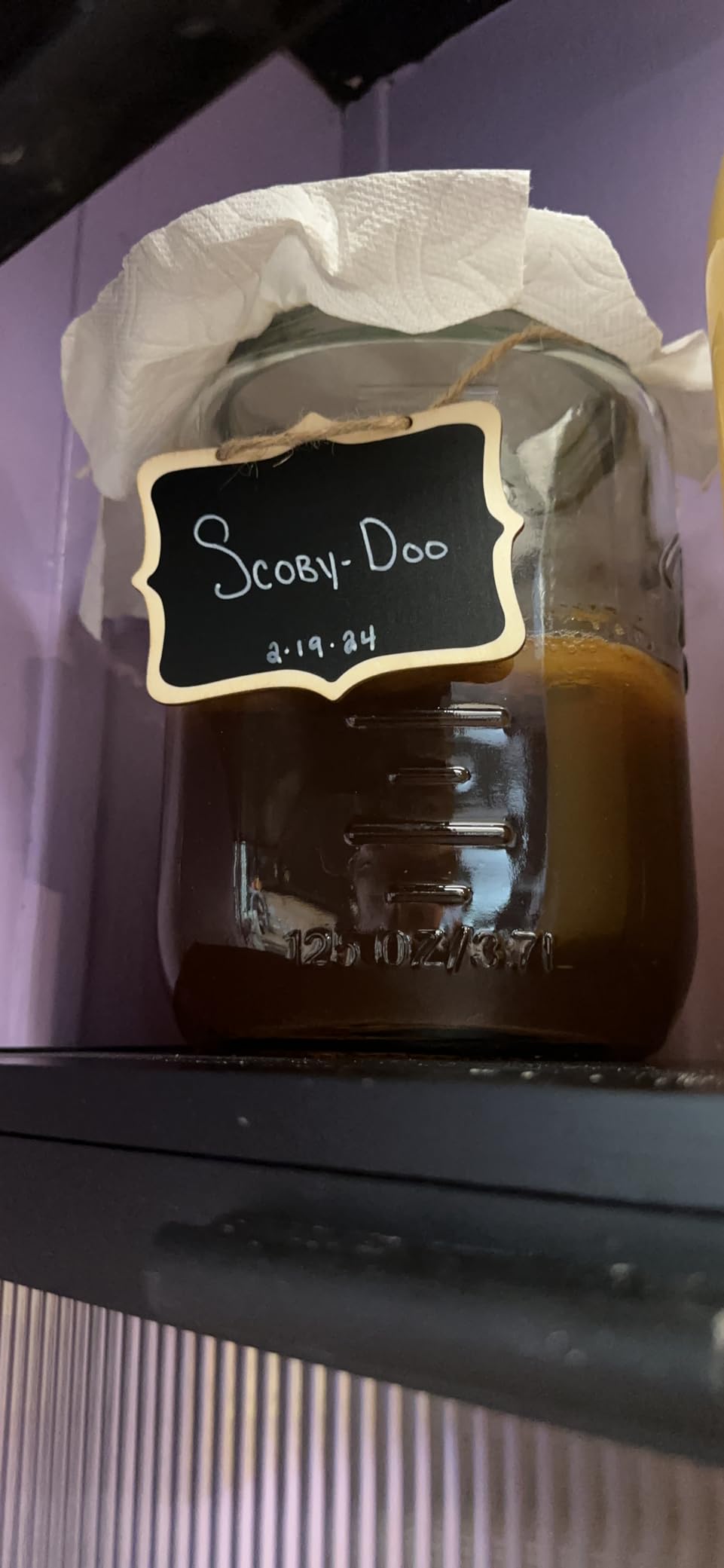 1 Gallon Large Fermentation Jars, 4.3