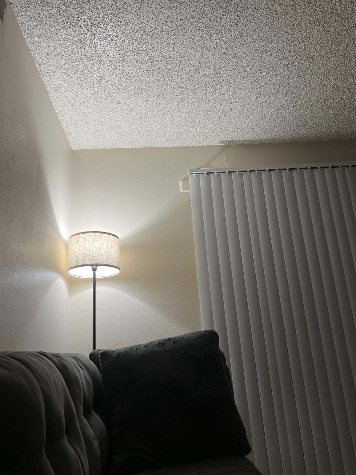 TOBUSA Floor Lamp for Living Room, Modern Standing Lamp with Drum Shade customer photo 2